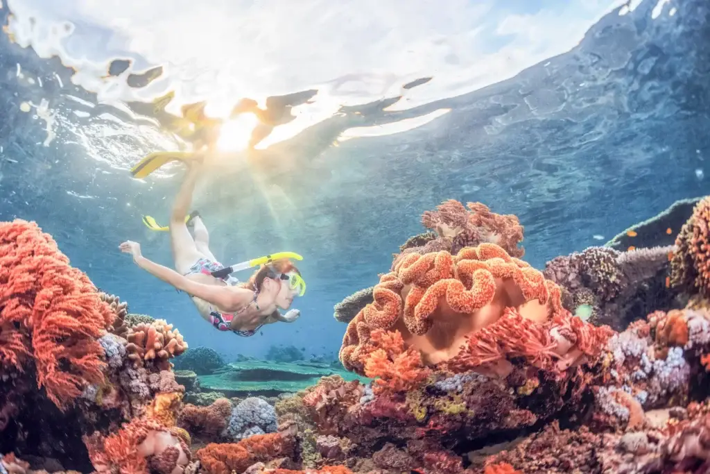 Snorkeling in Bora Bora lagoon with vibrant coral reefs and tropical fish