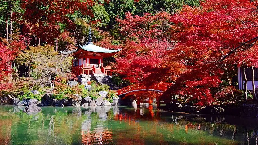  Daigoji Temple in Kyoto framed by blooming pink cherry blossoms
