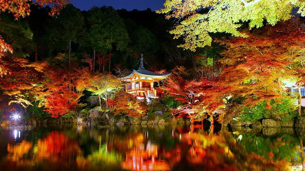 surrounding of Temple in Kyoto in autum

