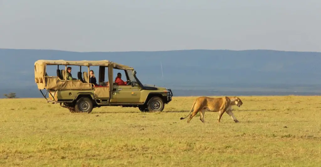 A stunning safari view of the  wildlife with lions, elephants, and vast grasslands
