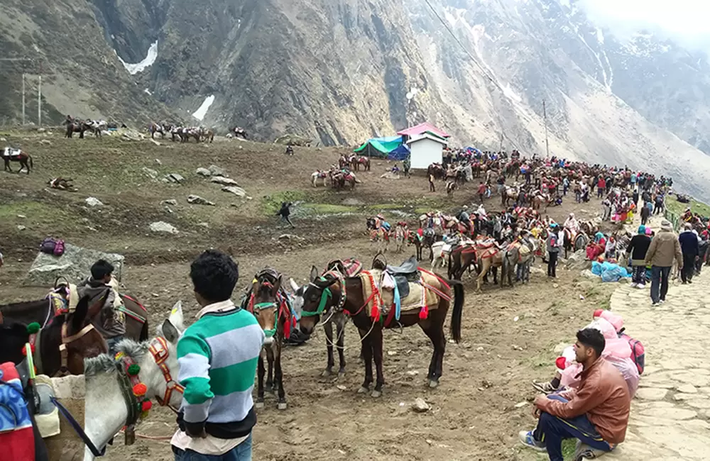 Pilgrims trekking from Gaurikund to Kedarnath Temple

